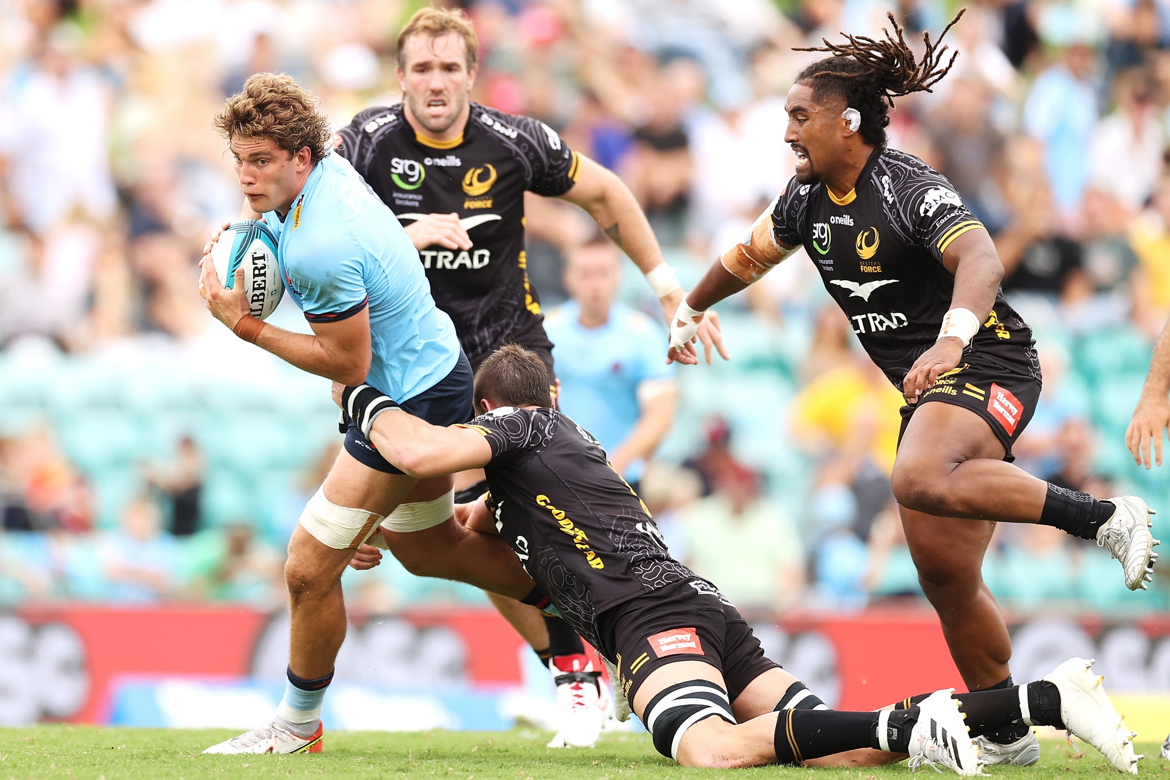 Will Harris has been in dominant form for the Waratahs in 2022