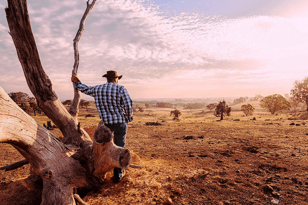 NSW Rugby will be supporting Rural Aid's Disaster Recovery Fund.