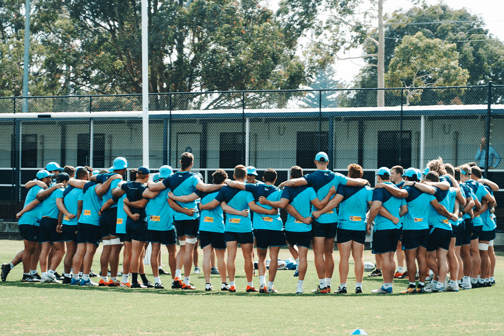 A proposed domestic Super Rugby competition has been placed on hold.