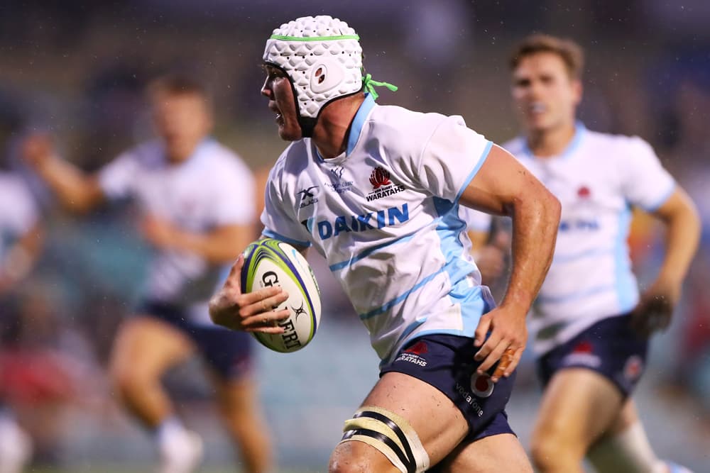 Carlo Tizzano will return to West Harbour for the remainder of the Shute Shield season.